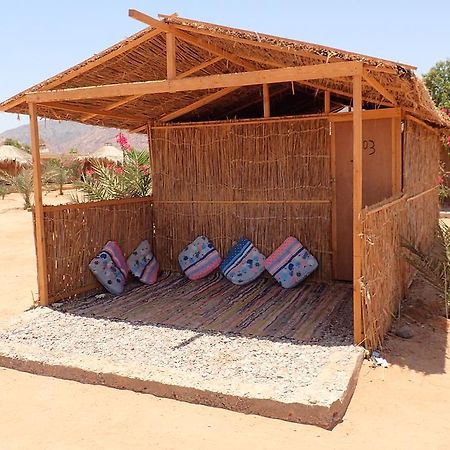 מלון טאבה Bedouin Star מראה חיצוני תמונה