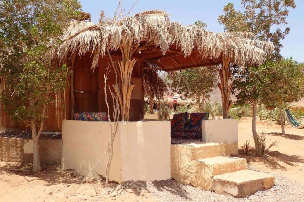 מלון טאבה Bedouin Star מראה חיצוני תמונה