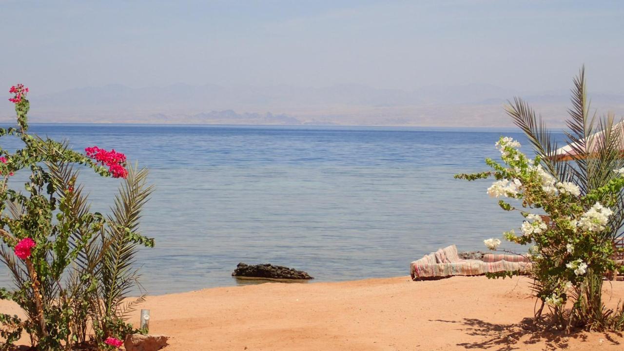 מלון טאבה Bedouin Star מראה חיצוני תמונה