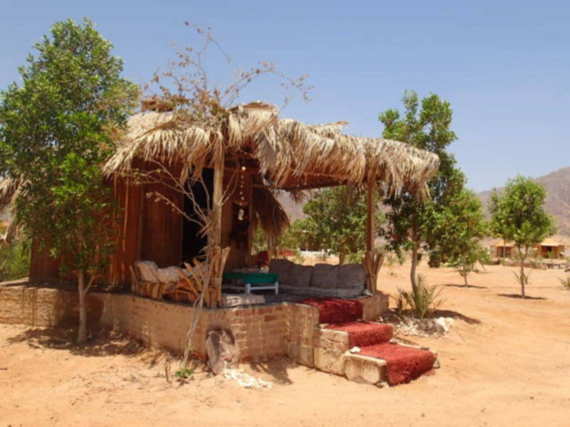 מלון טאבה Bedouin Star מראה חיצוני תמונה