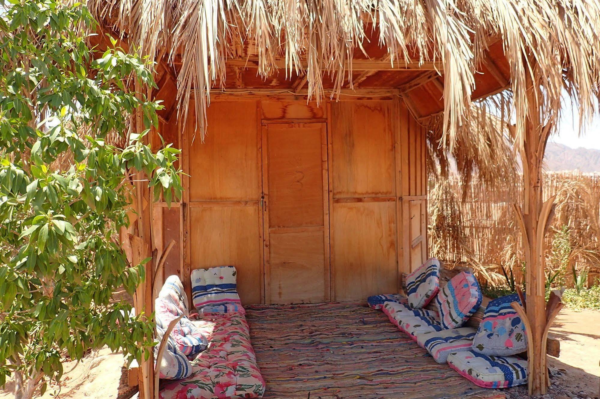מלון טאבה Bedouin Star מראה חיצוני תמונה